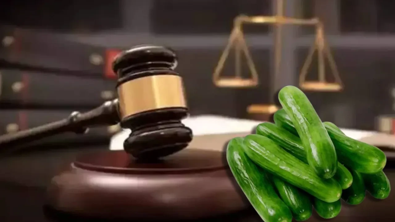 Yargıtay