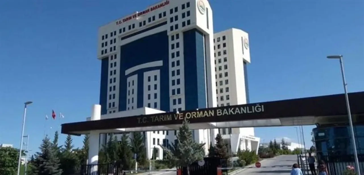 Yarından itibaren zorunlu! Market ve kafelerde yeni dönem