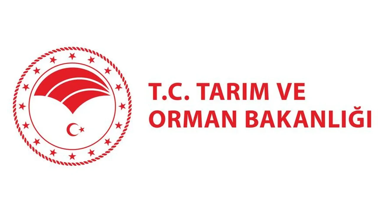 Yarından itibaren zorunlu! Market ve kafelerde yeni dönem