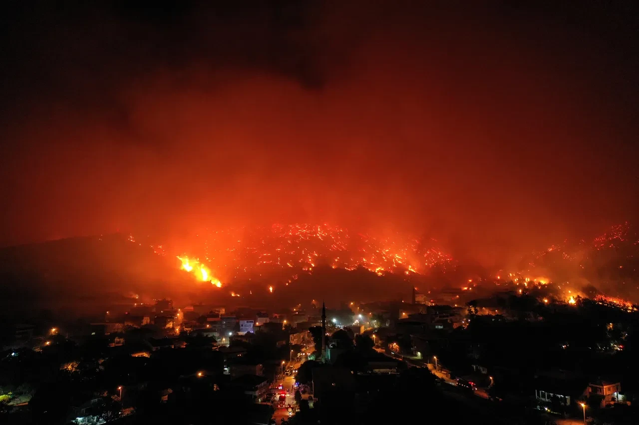Yeşil Bursa griye döndü! Orman yangınının acı boyutu gün ağarınca ortaya çıktı