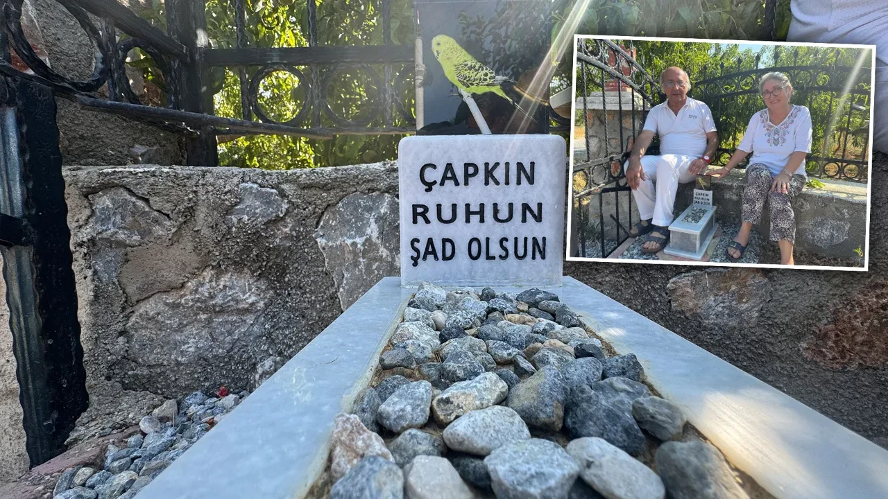 Yıllardır besledikleri kuş ölünce bahçeye gömdüler! Anısına mezar bile yaptırdılar
