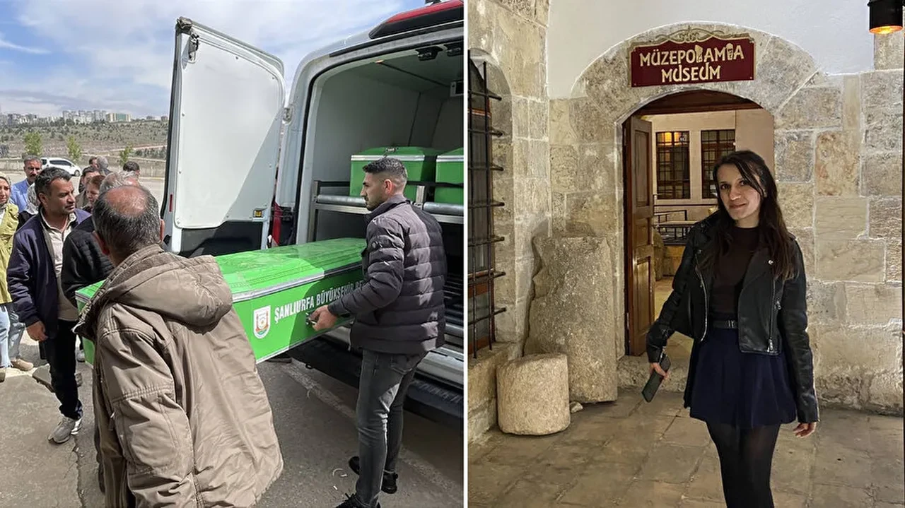 Başıboş köpekler dehşet saçtı! Koruma altındaki ceylanı parçaladılar