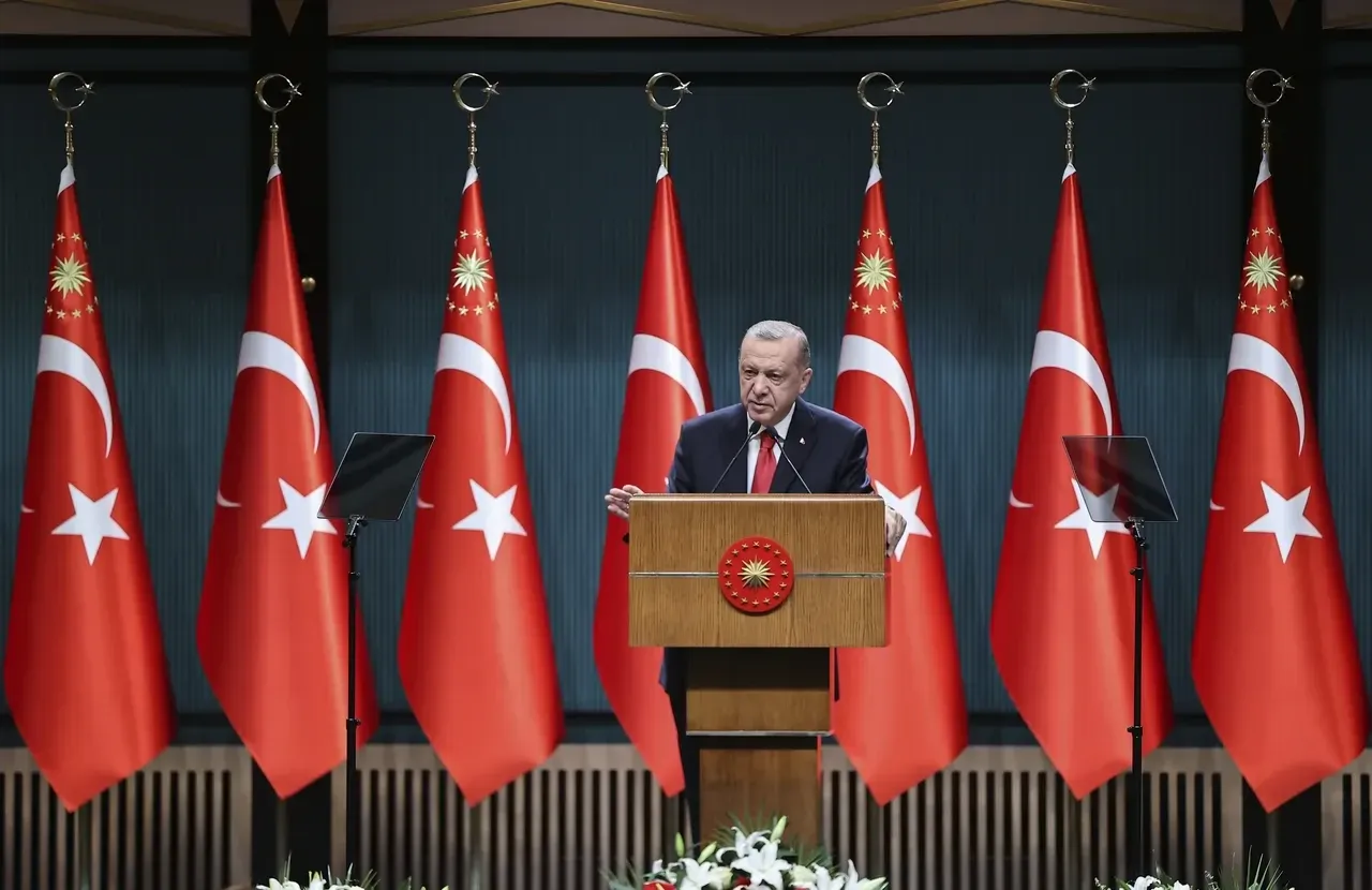 Orman yangınları ile mücadelede AFAD dönemi! Cumhurbaşkanı Erdoğan duyurdu: 51 ilde örgütlenecekler 