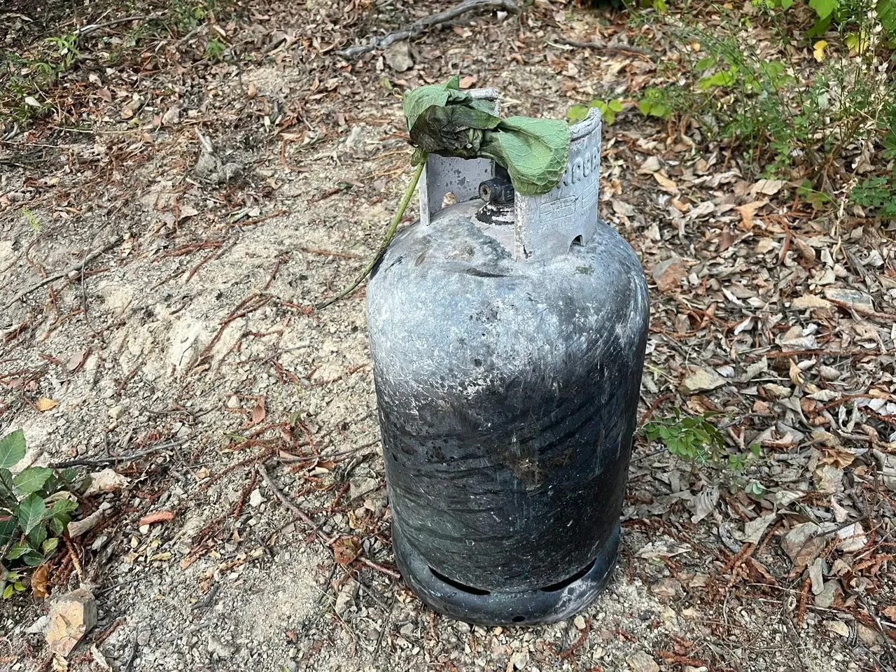 Hendek'teki yangının sebebi görüntülendi: İki kişi hakkında karar verildi