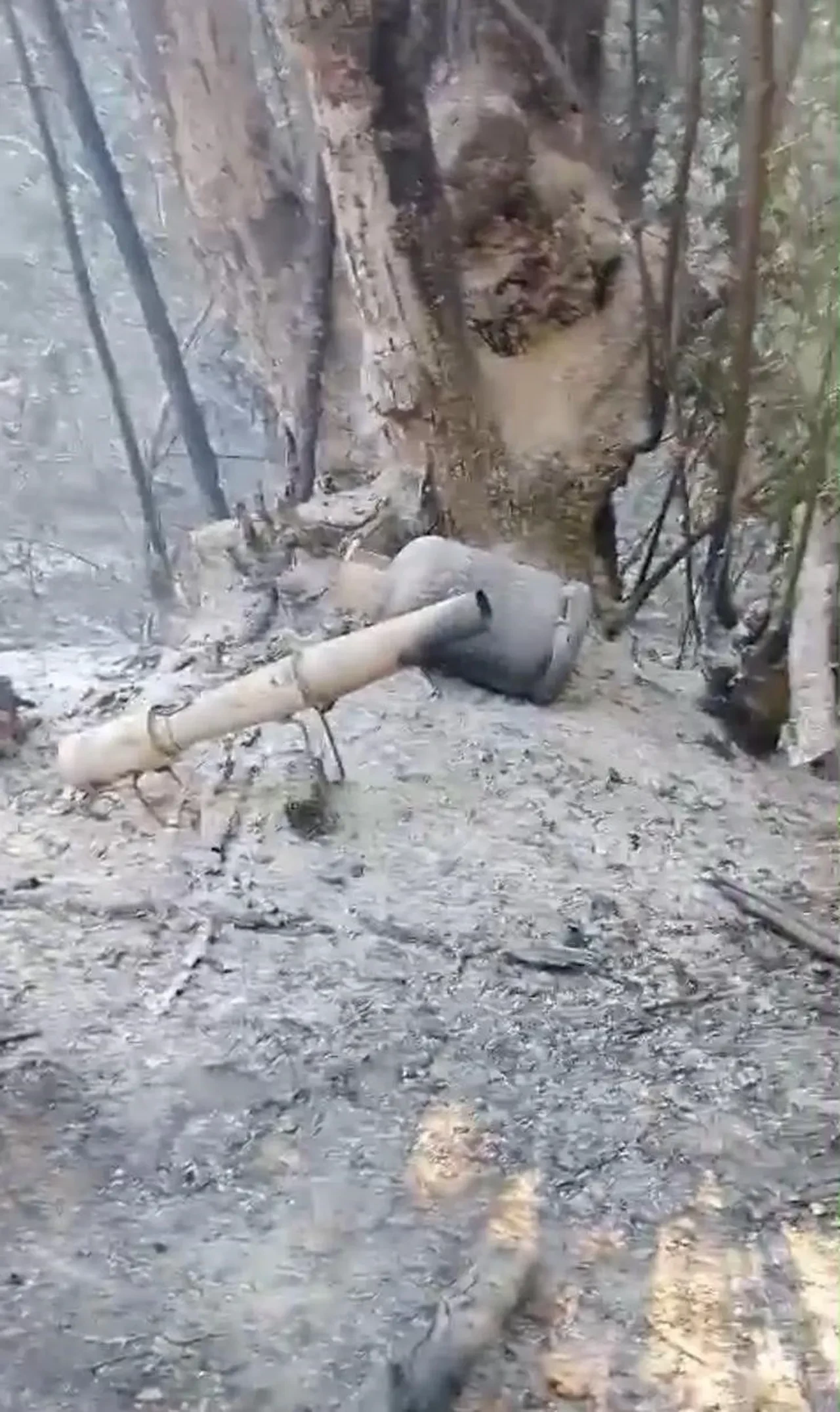 Hendek'teki yangının sebebi görüntülendi: İki kişi hakkında karar verildi