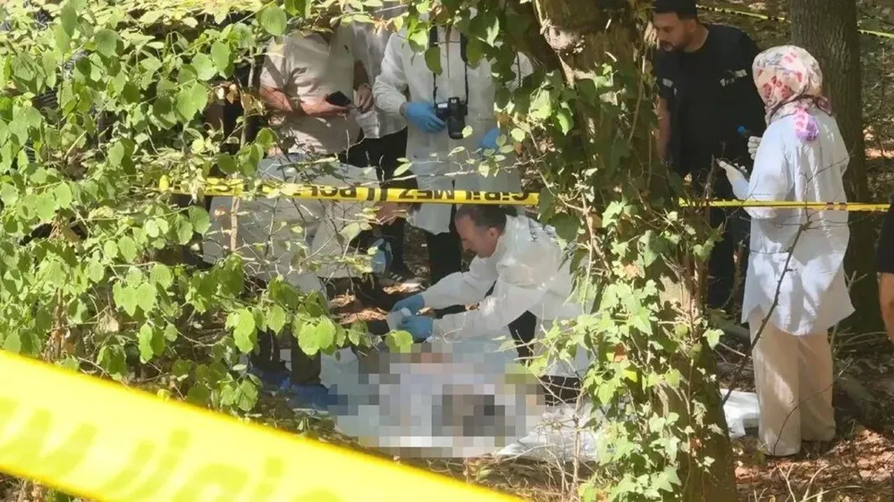 Ormanlık alanda kan donduran vahşet!