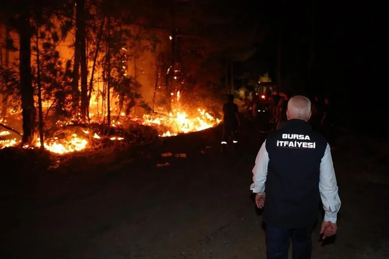 Yangın provokatörlerine geçit yok! Bakan Yerlikaya duyurdu