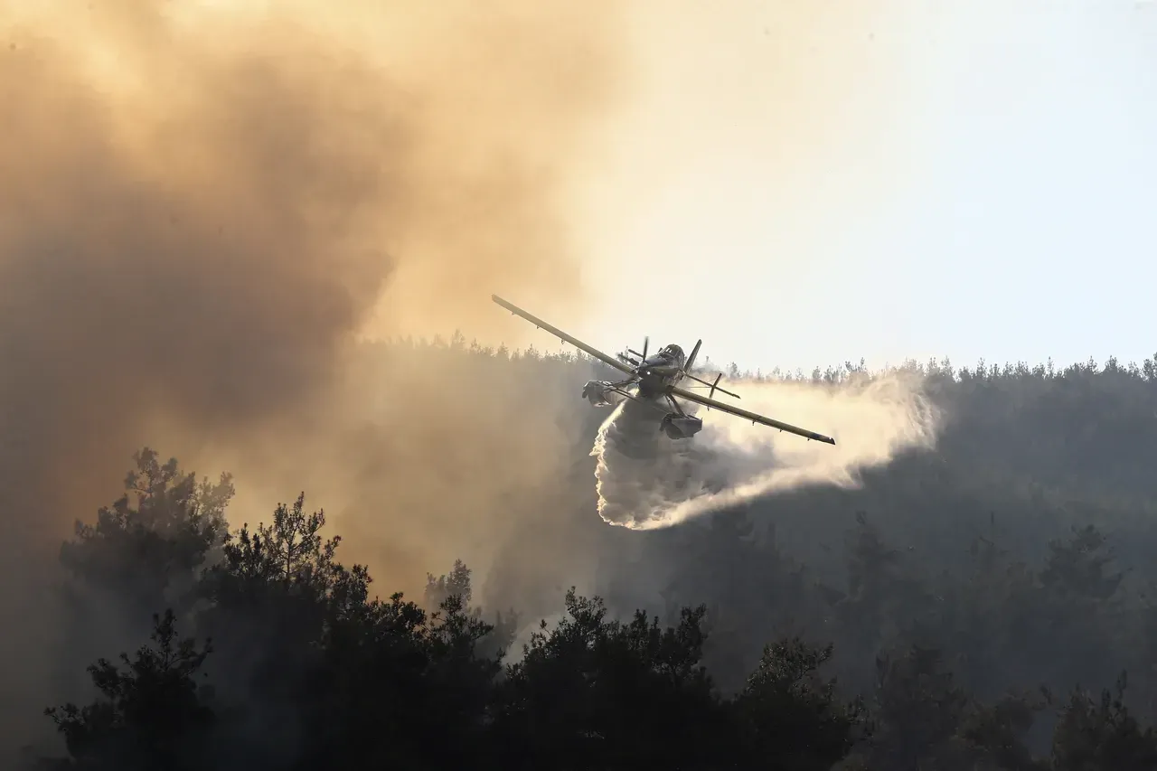 Yangın provokatörlerine geçit yok! Bakan Yerlikaya duyurdu