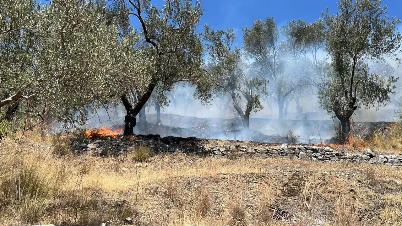 Balıkesir Edremit yangın son dakika! Güre'de gökyüzünü dumanlar kapladı