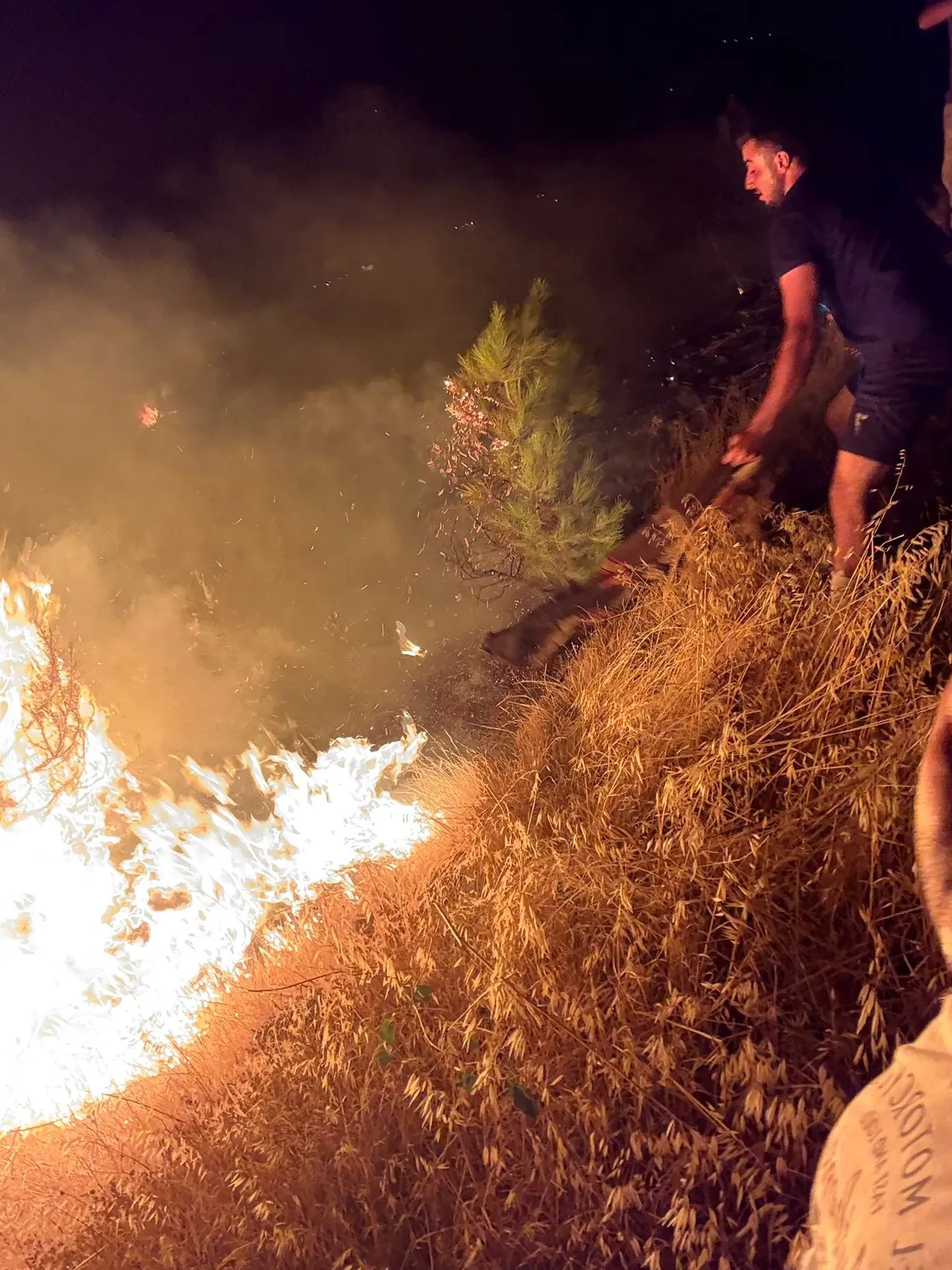 Balıkesir'de ormanlık alana sıçrayan yangın söndürüldü