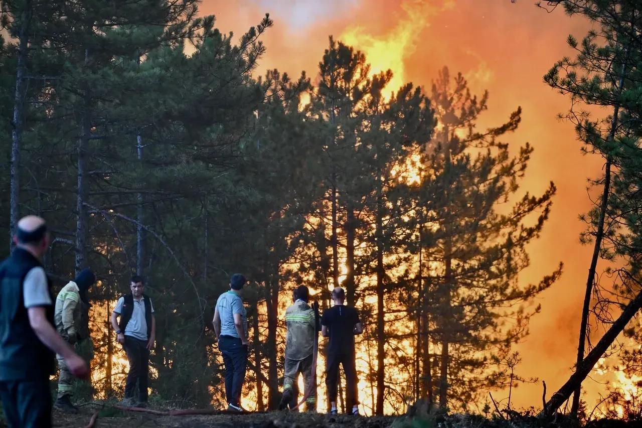 BBP lideri Destici'den bir idam çıkışı daha! Bu 3 suç için getirilmesini istedi