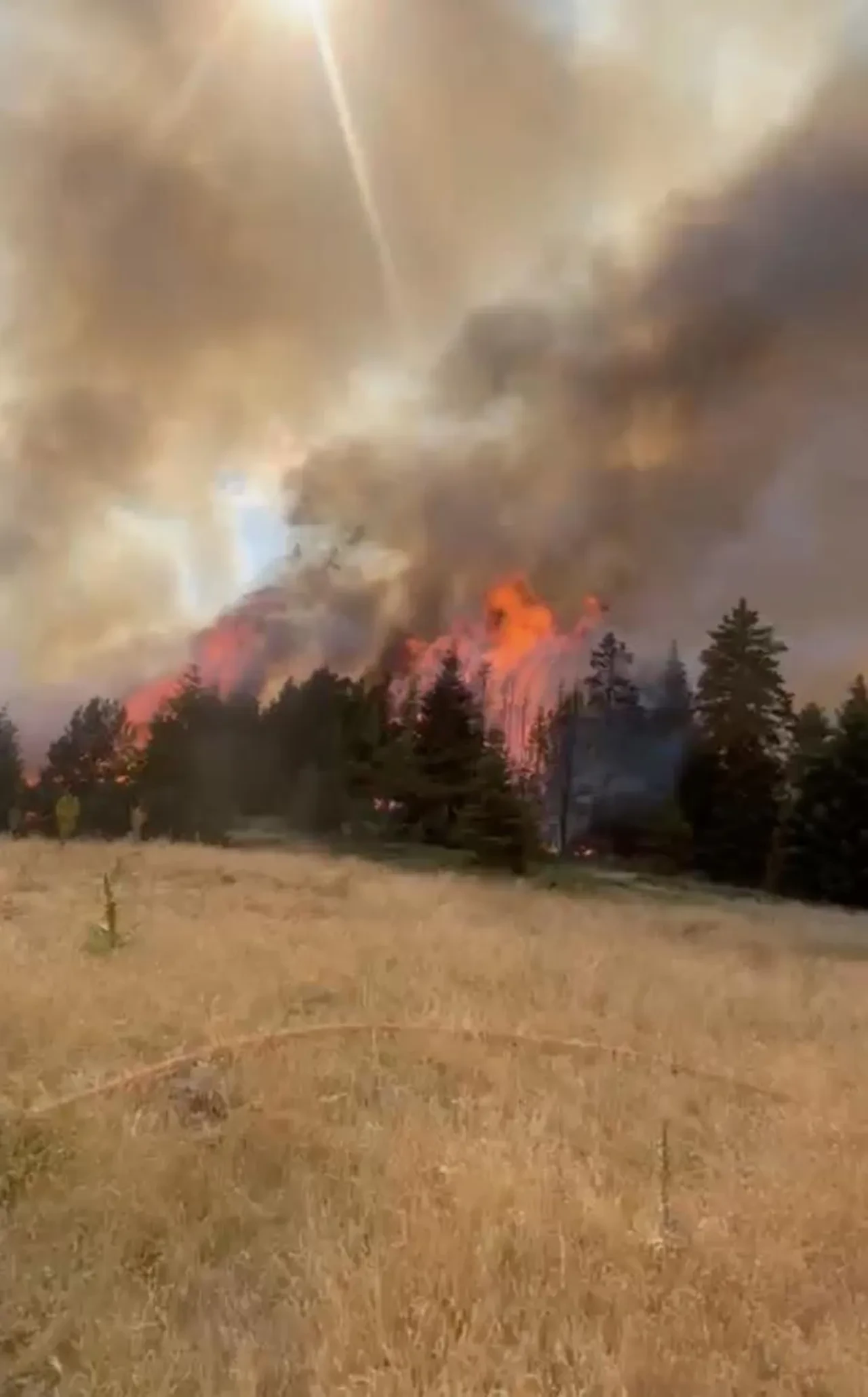 BBP lideri Destici'den bir idam çıkışı daha! Bu 3 suç için getirilmesini istedi