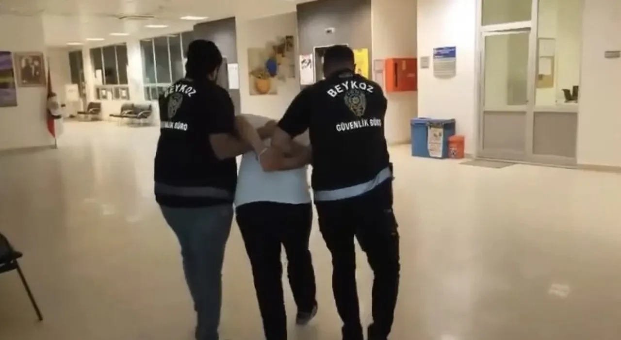 Beykoz'daki yangında kundaklama şüphesi! Ormanı yakan zanlıdan pişkin savunma