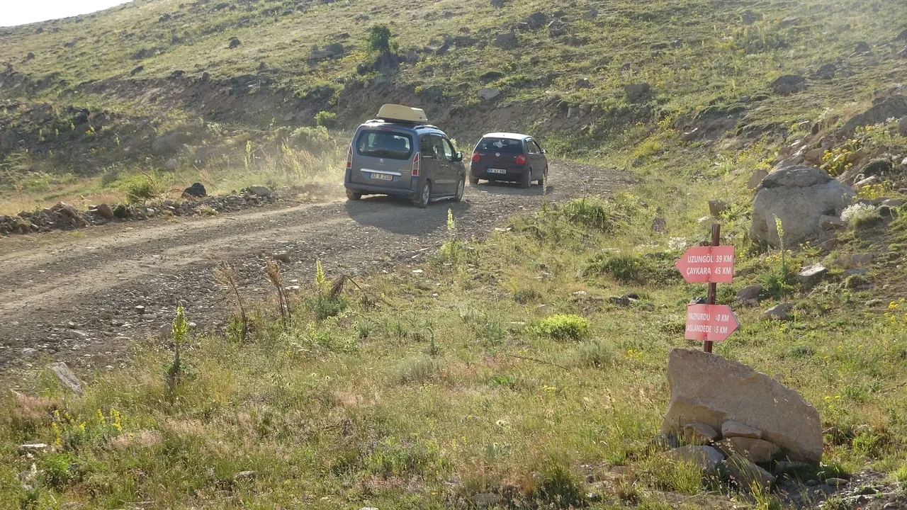Böyle yol görülmedi! "Böbreğinde taş olan bu yolda düşürür"