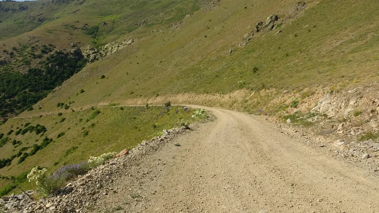 Böyle yol görülmedi! "Böbreğinde taş olan bu yolda düşürür"