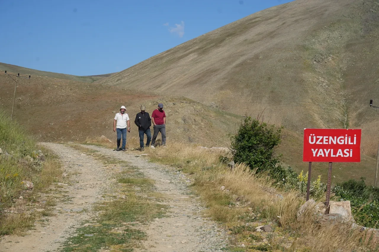 Böyle yol görülmedi! "Böbreğinde taş olan bu yolda düşürür"