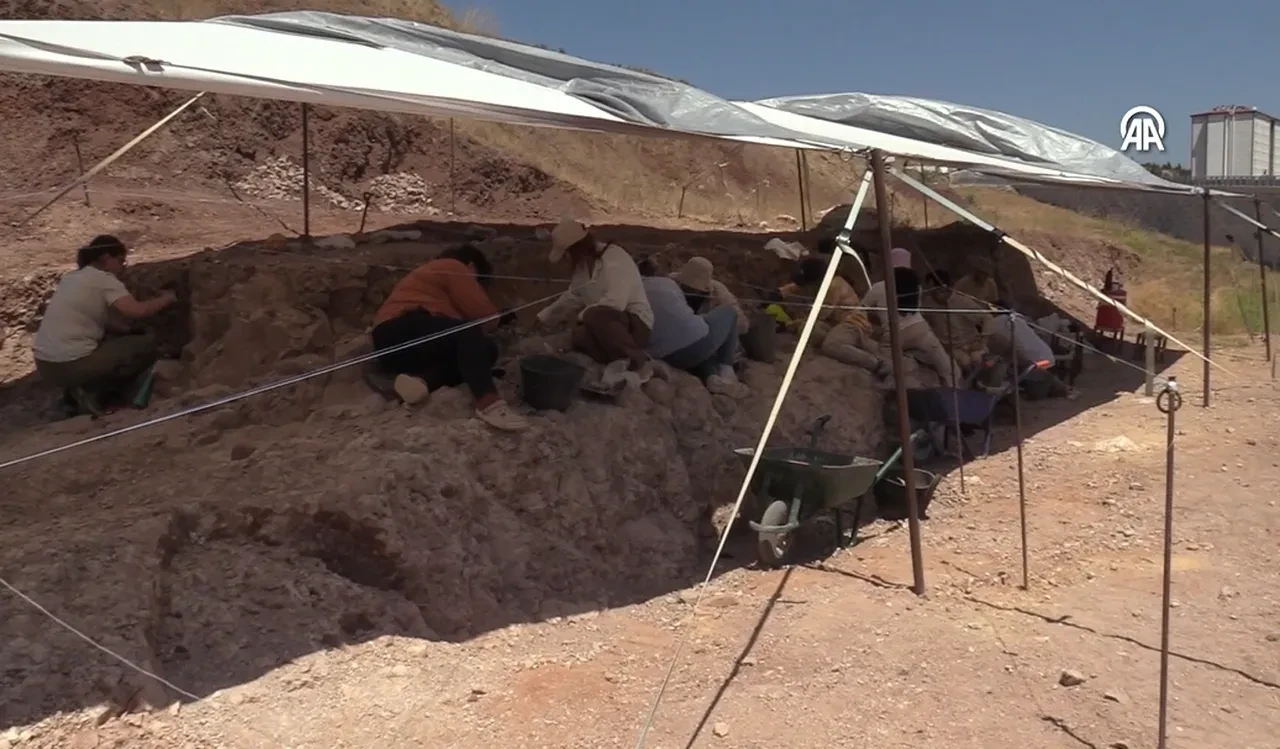 Çankırı'da heyecanlandıran keşif: Tam 9 milyon yıllık! Dikkat çeken toplu ölüm detayı