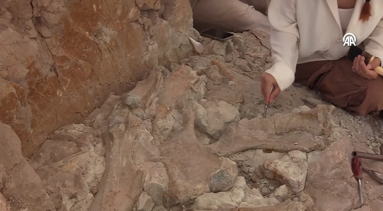 Çankırı'da heyecanlandıran keşif: Tam 9 milyon yıllık! Dikkat çeken toplu ölüm detayı