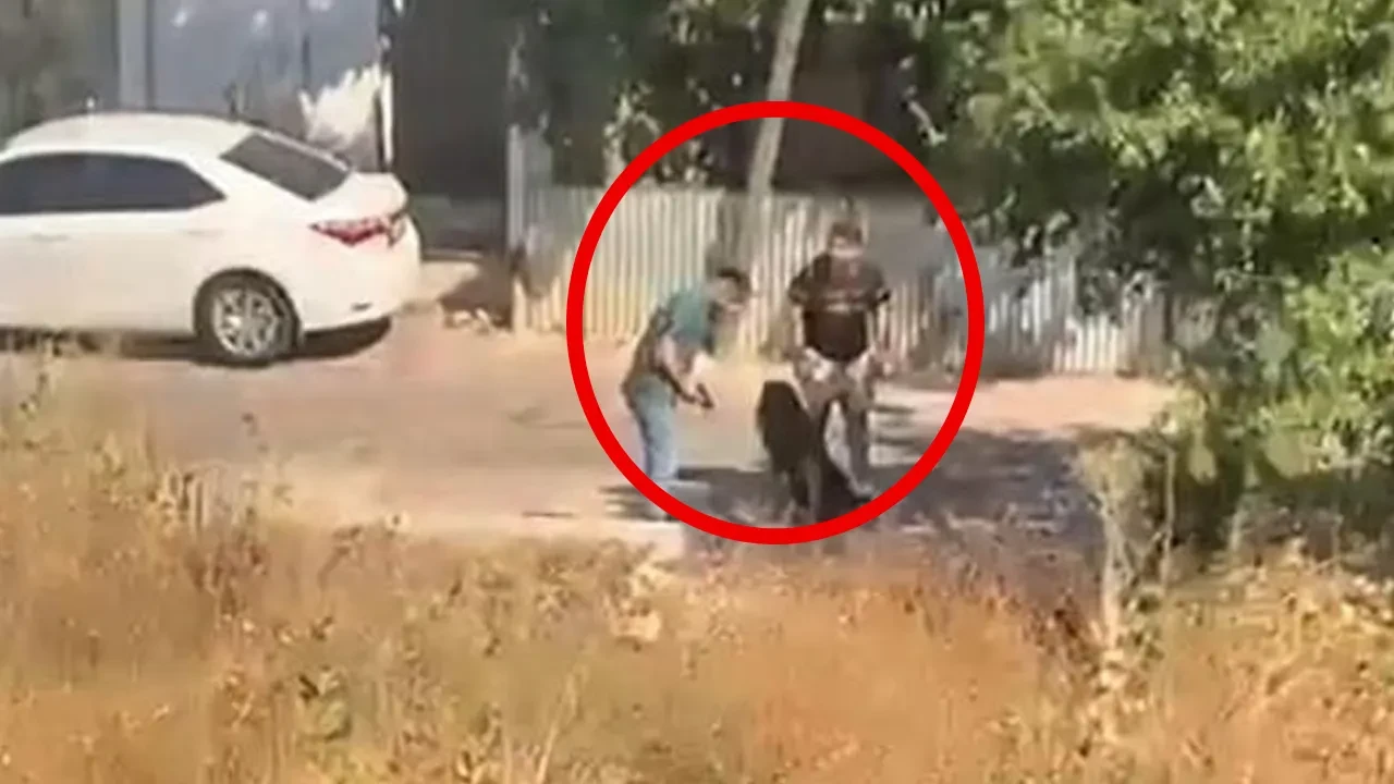 Genç kızı dakikalarca tekme tokat dövdü! İfadesi şaşkına çevirdi: Şoke eden bikinili fotoğraf detayı