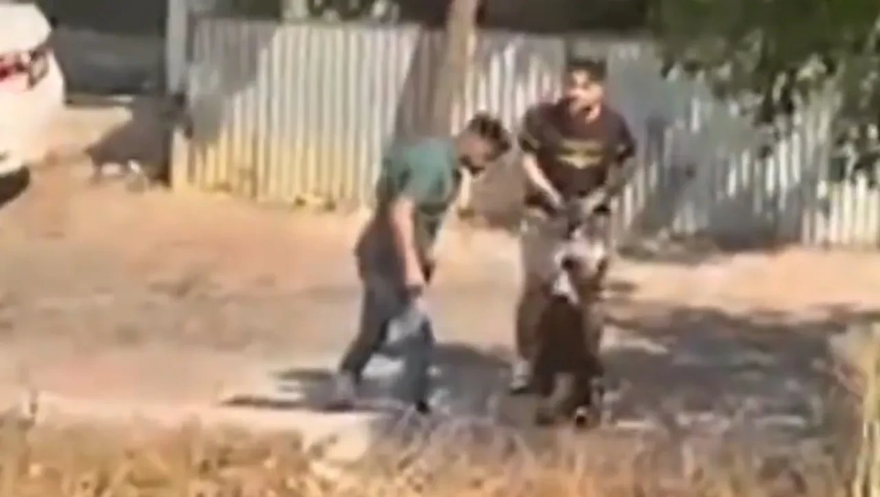 Genç kızı dakikalarca tekme tokat dövdü! İfadesi şaşkına çevirdi: Şoke eden bikinili fotoğraf detayı