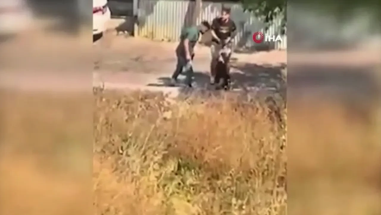 Genç kızı dakikalarca tekme tokat dövdü! İfadesi şaşkına çevirdi: Şoke eden bikinili fotoğraf detayı