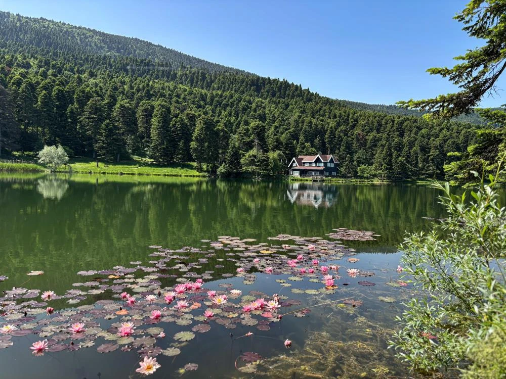 Bolu’da ‘ateşli piknik’ kararı! Valilik duyurdu: Tamamen yasaklandı