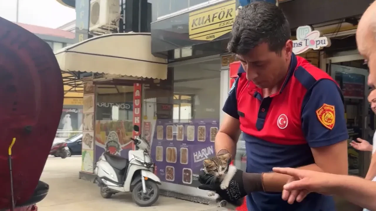 Otomobilin motor kısmında bulunan kedi çevredekilerin dikkati sayesinde kurtarıldı! O anlar kamerada