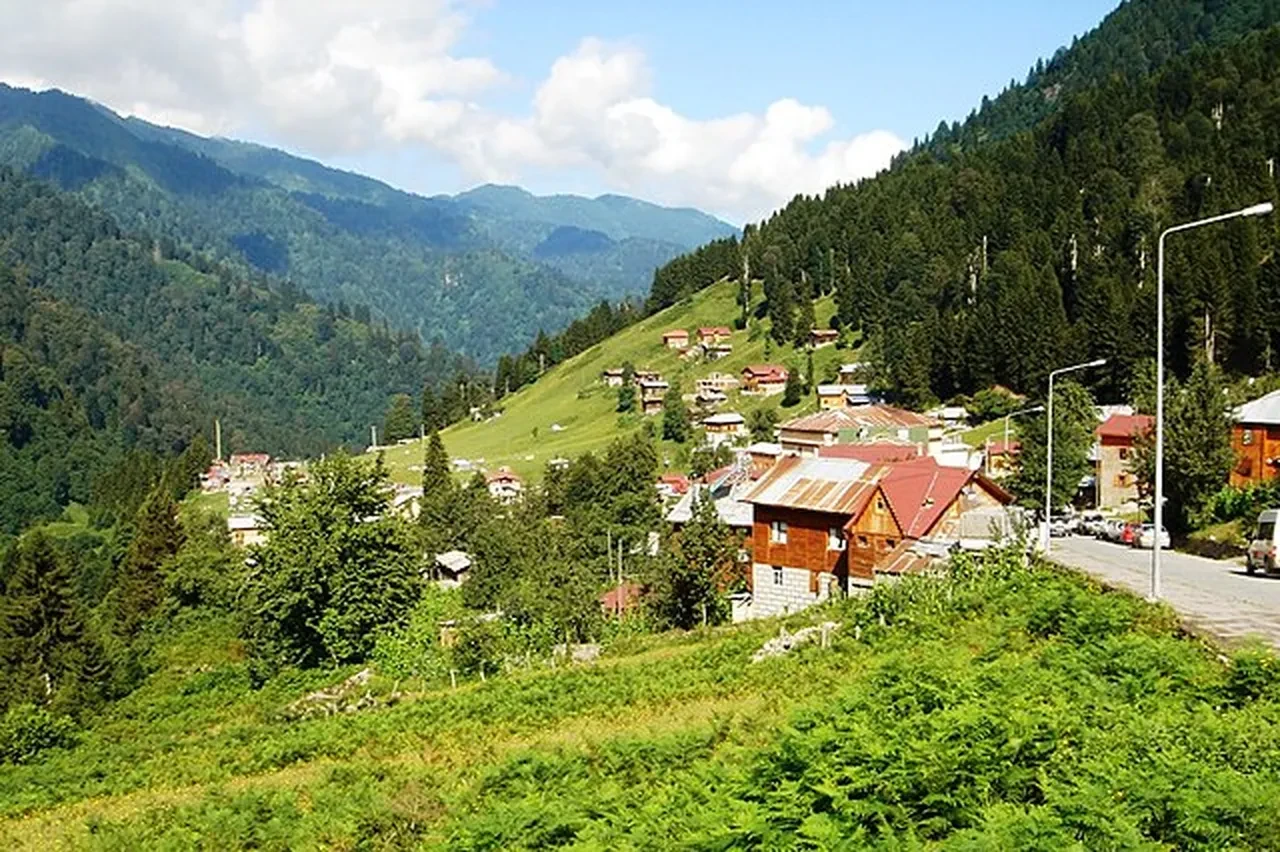 Rize'de bir garip olay! Turistler işletmecinin, işletmeci turistlerin sandı: Çocuk kayıp çıktı