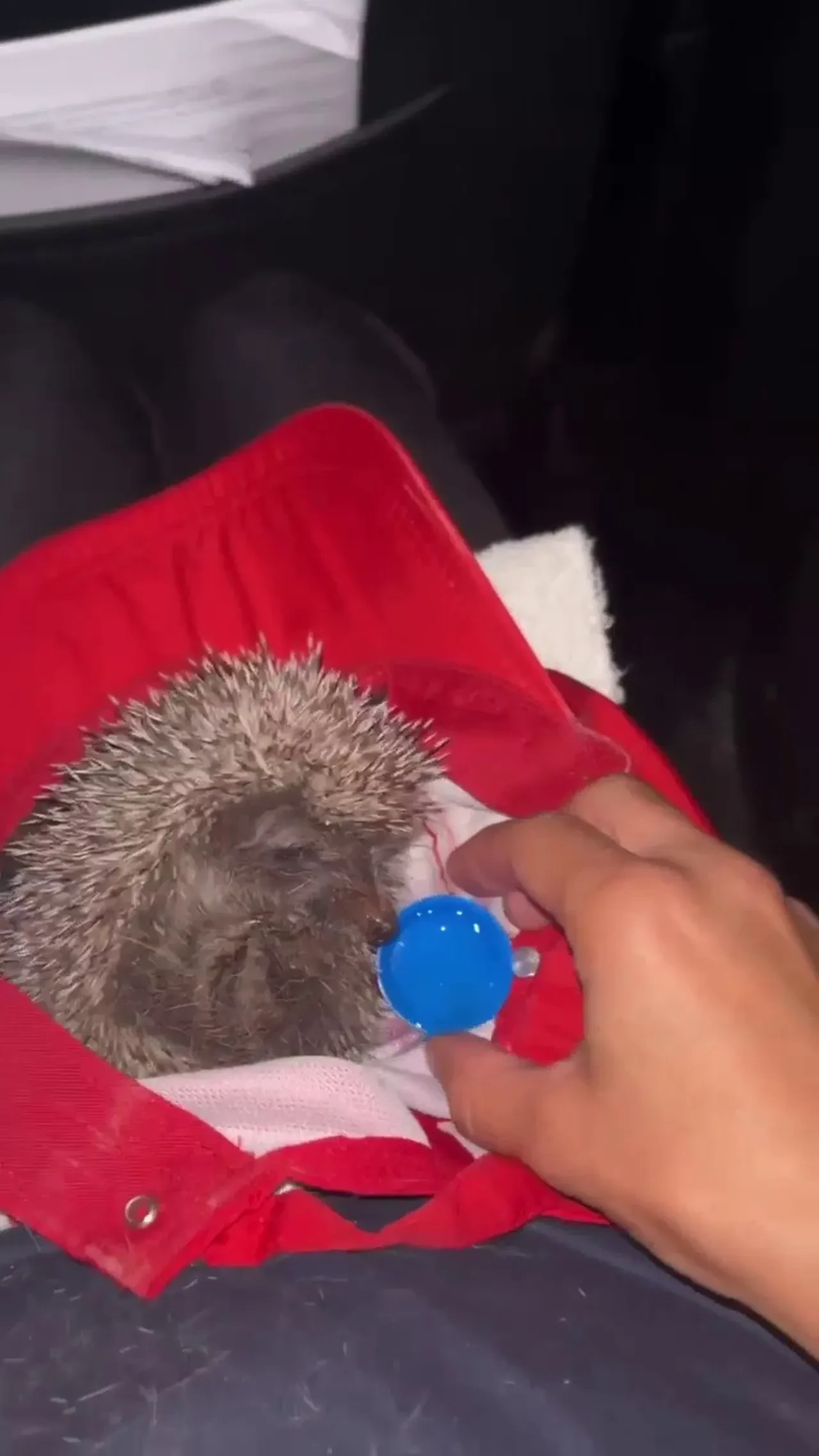 Sessiz çığlıkları duydular: Hayvanları alevlerden çıkardılar