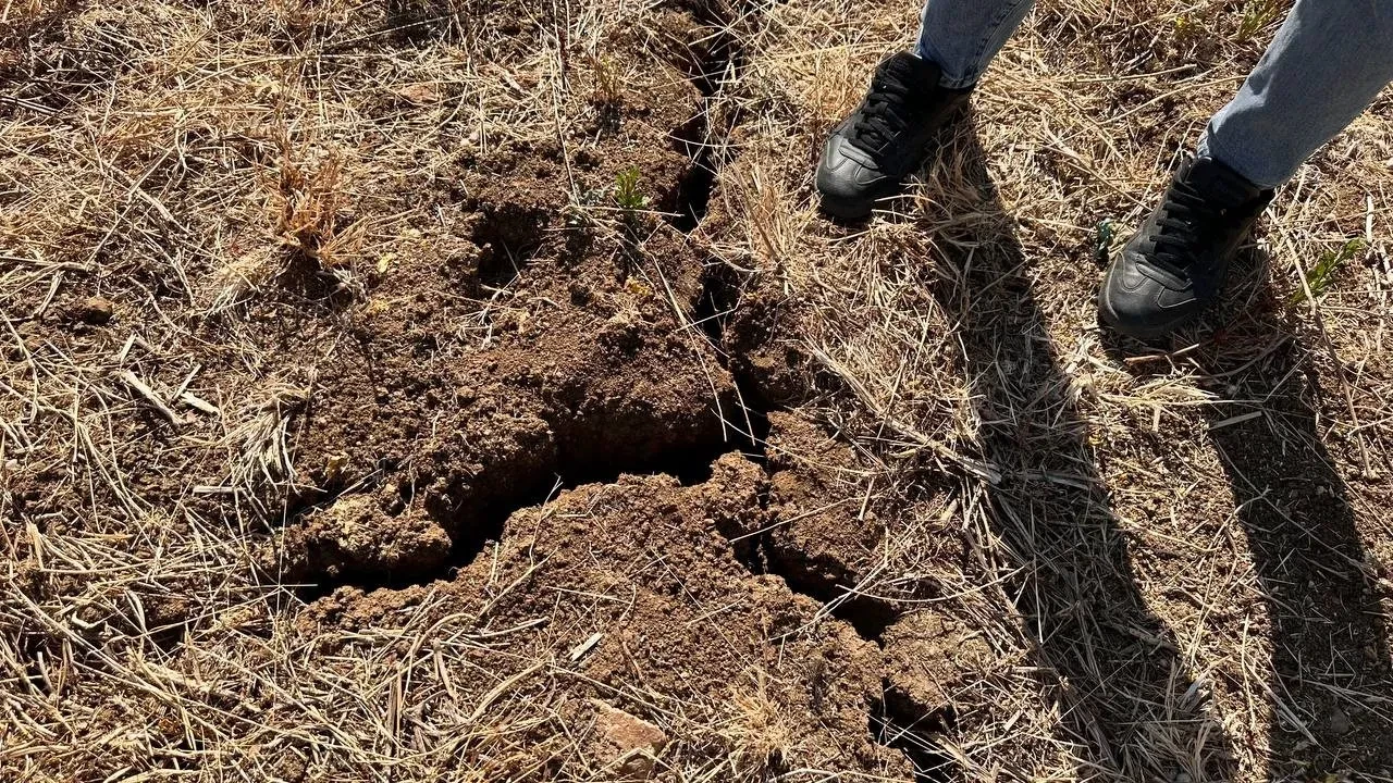Yağmur duası! Orman yangınları için eller semaya açıldı