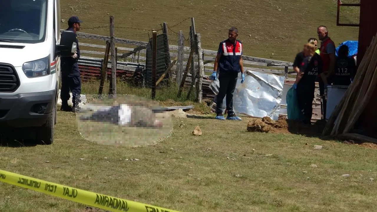 Yaylada dehşet! Komşu kavgası katliamla bitti: Çok sayıda ölü var