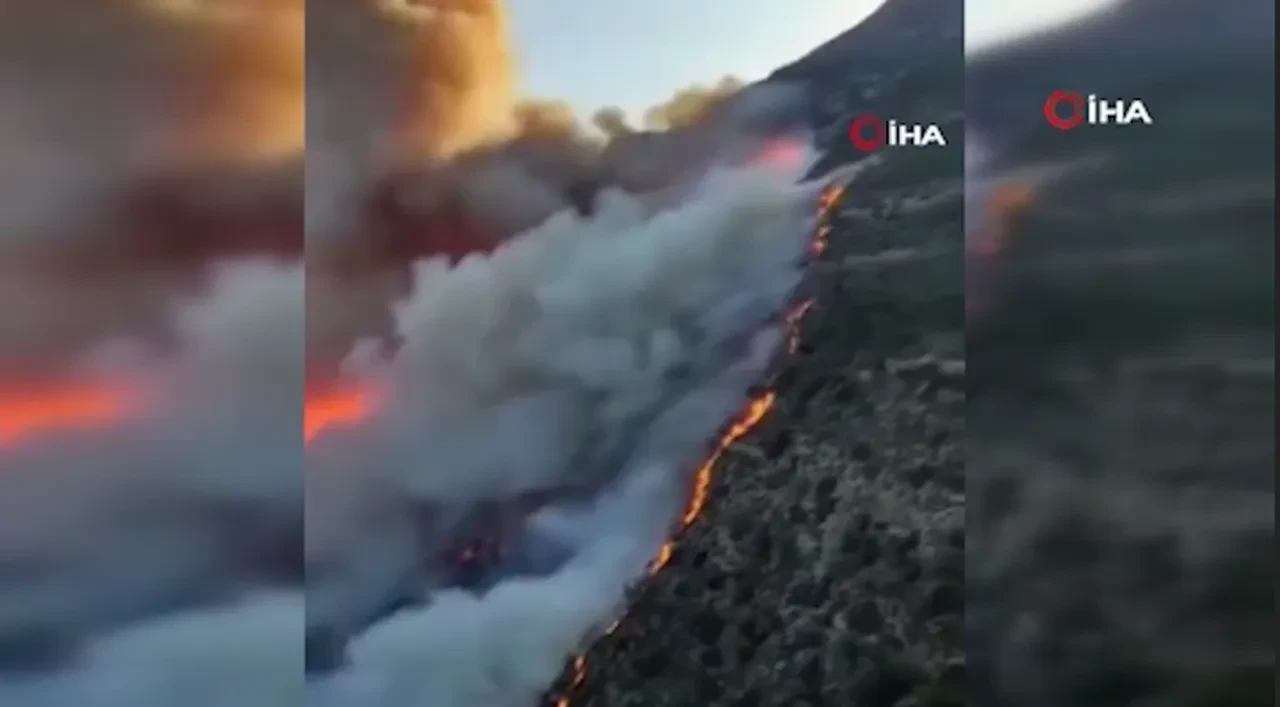 Avrupa'nın korktuğu başına geldi: Yunanistan ve Almanya'yı orman yangınları sardı
