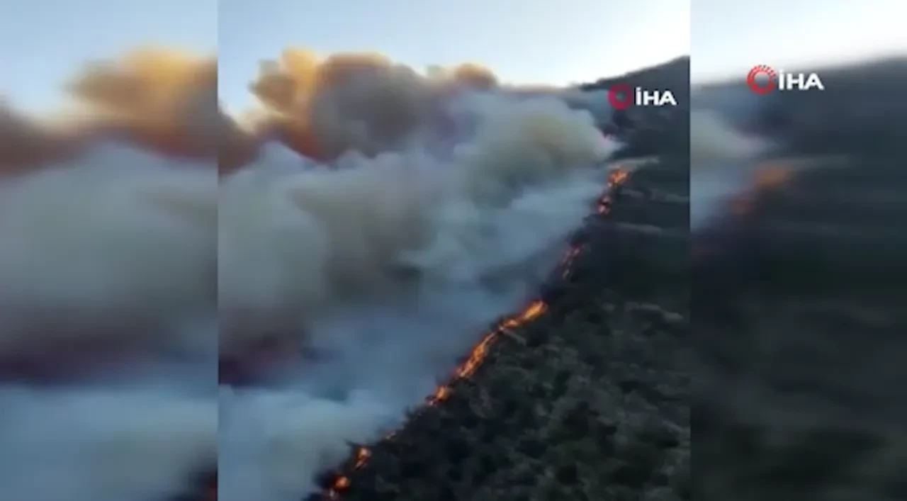Avrupa'nın korktuğu başına geldi: Yunanistan ve Almanya'yı orman yangınları sardı