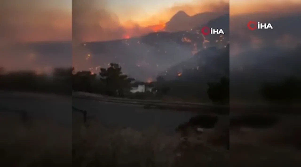 Avrupa'nın korktuğu başına geldi: Yunanistan ve Almanya'yı orman yangınları sardı