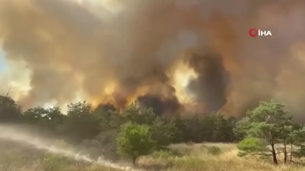 Avrupa'nın korktuğu başına geldi: Yunanistan ve Almanya'yı orman yangınları sardı