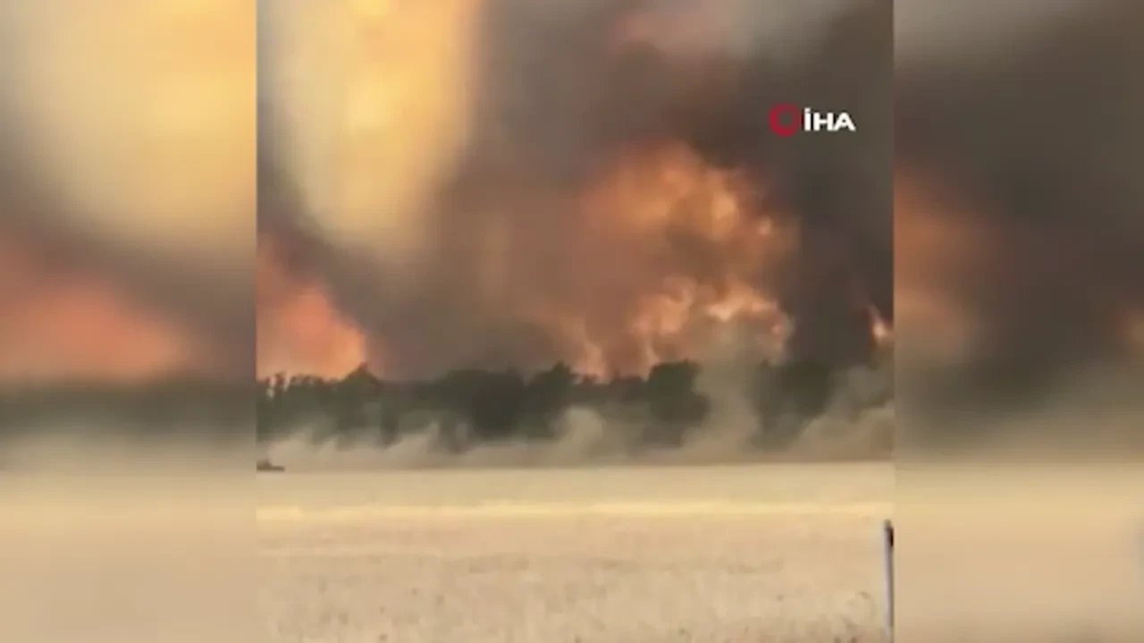 Avrupa'nın korktuğu başına geldi: Yunanistan ve Almanya'yı orman yangınları sardı