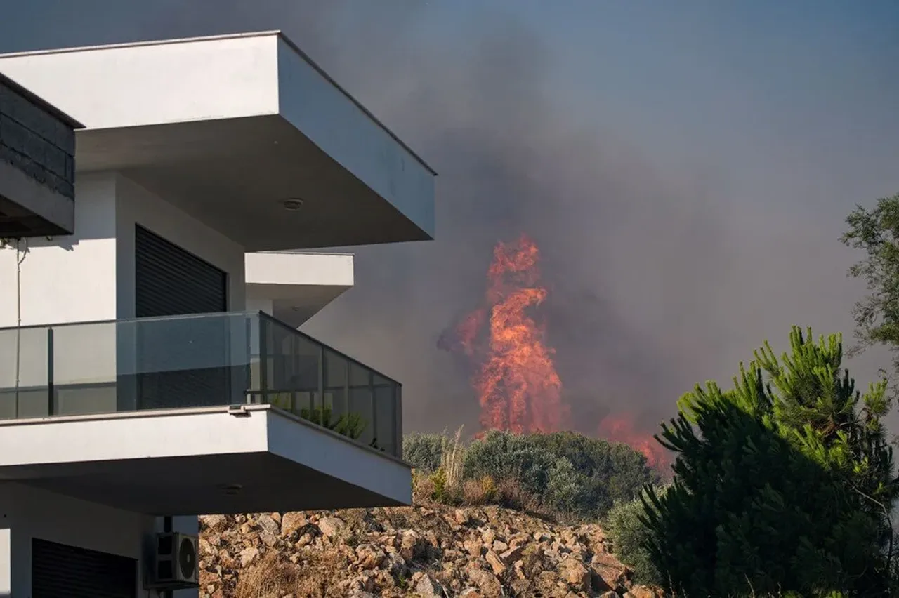 İzmir alev alev yanıyor! Acı haber geldi: Yaşlı adam feci şekilde hayatını kaybetti