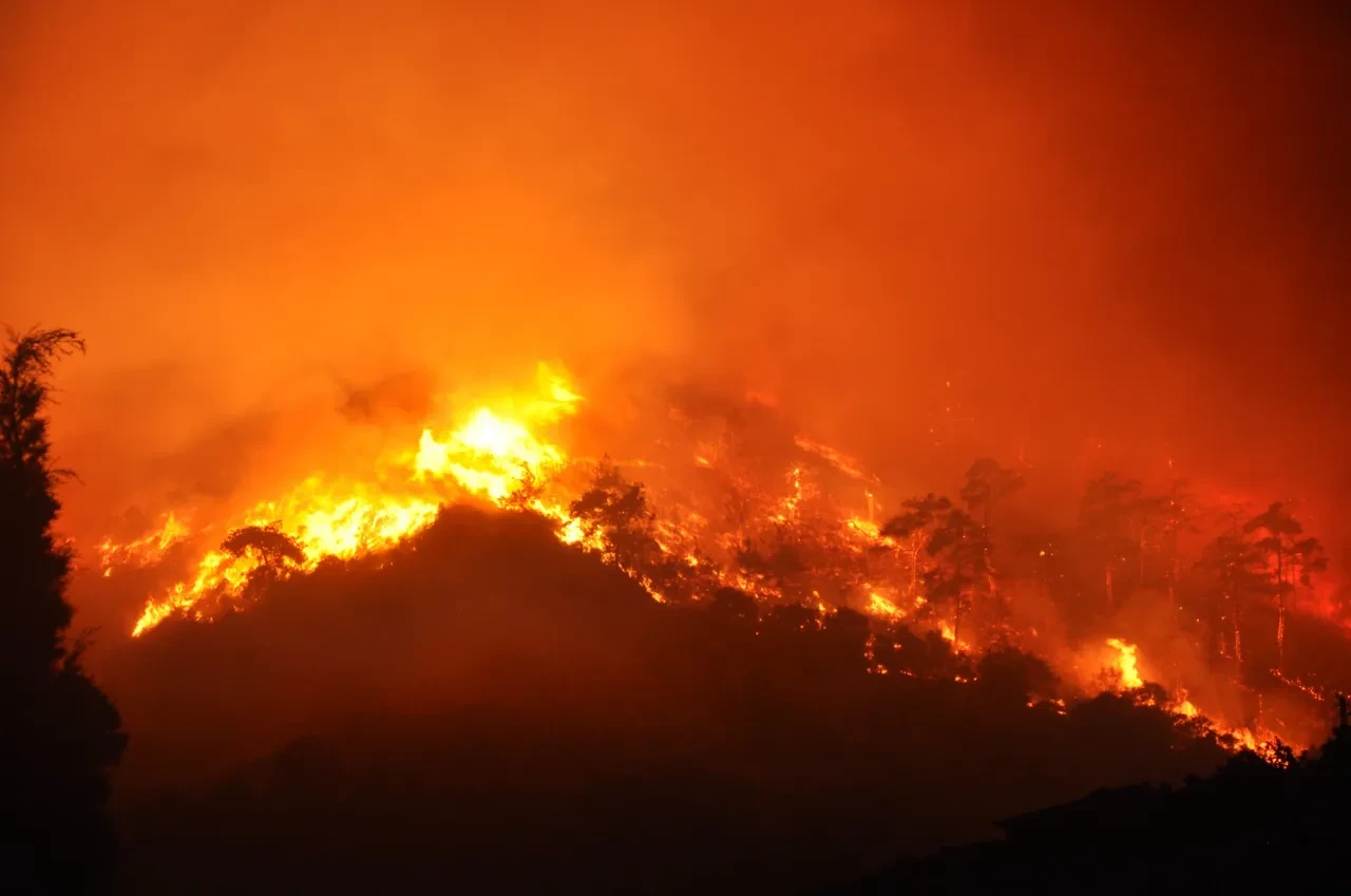 İzmir'de yangın büyüdü: Yerleşim yerleri tahliye ediliyor! Yangının çıkış sebebine ilişkin açıklama
