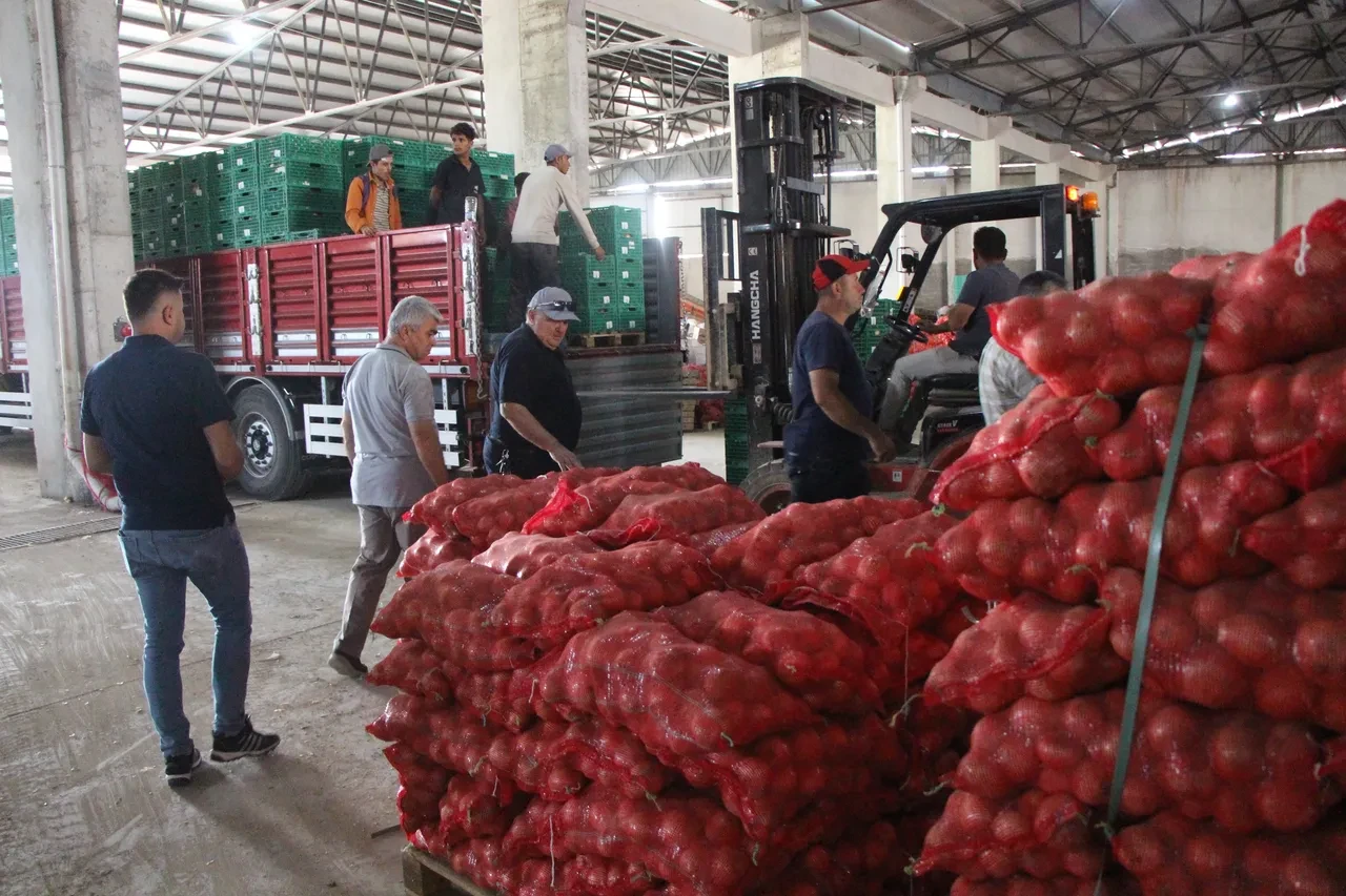 Kilosu 5 TL! Kırmızı altın olarak adlandırılıyor! Avrupa ülkelerinden ve Rusya'dan talep yağıyor