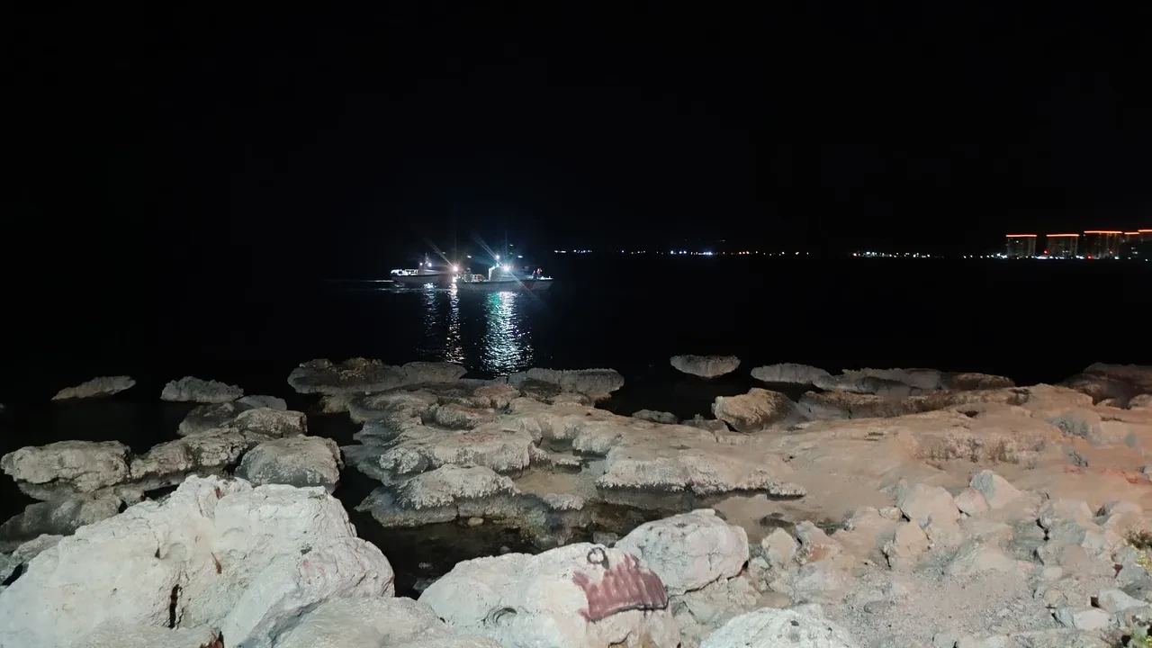 Mersin'e tatile gitmişti! Kadın avukattan kahreden haber!