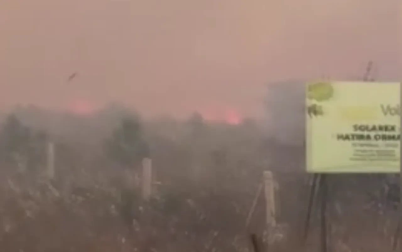 Silivri’de yangın söndürüldü mü, nerede çıktı? Son dakika yangınla mücadele sürüyor