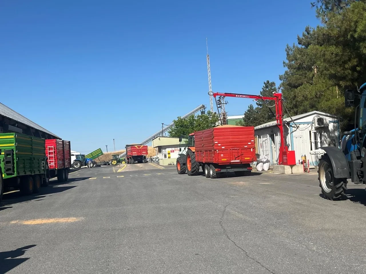 TMO'da randevulu buğday alımı başladı