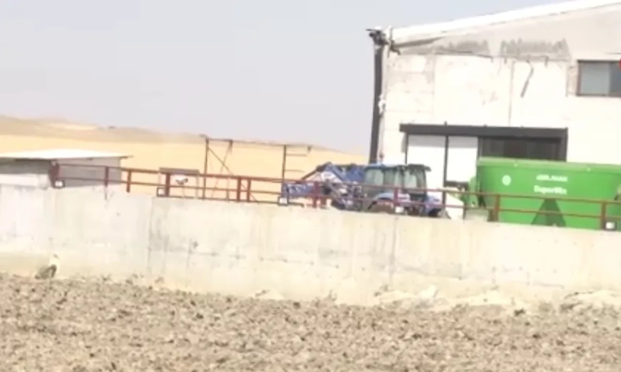 Ankara'da metan gazı faciası! Besihanede cesetleri bulundu