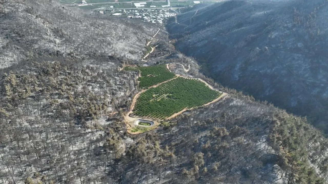 Bursa yangınında şaşkına çeviren görüntü! Bir tek orası yanmadı: Sebebi ise...