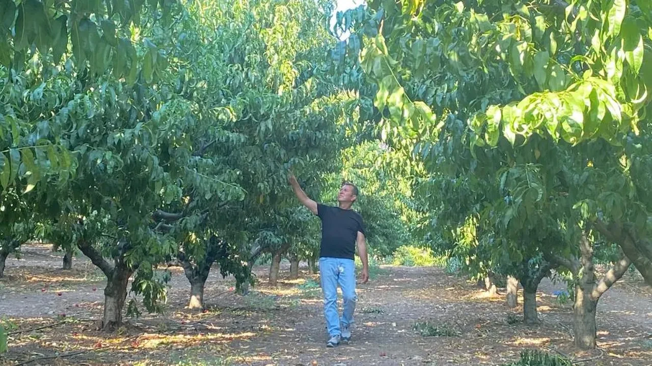 Bursa yangınında şaşkına çeviren görüntü! Bir tek orası yanmadı: Sebebi ise...