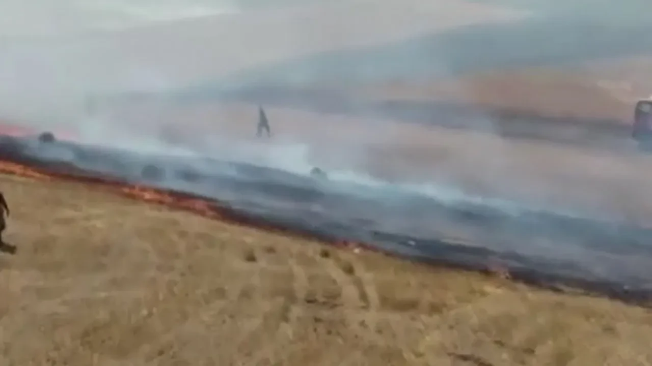 Büyükçekmece'de otluk alanda yangın! Ekipler harekete geçti