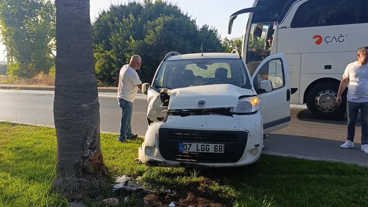 Direksiyon hakimiyetini kaybetti, palmiyeye çarptı