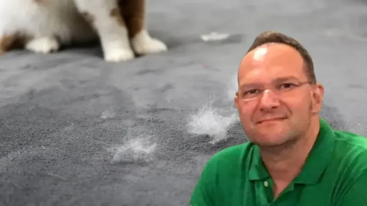 Kedi sahiplerine nefes aldıracak haber! Akciğerine tüy kaçınca öldü denmişti...