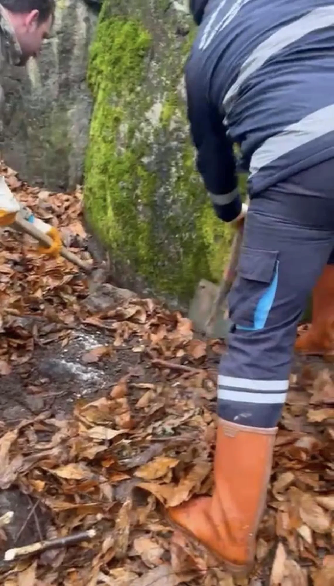 Kan donduran cinayette korkunç itiraf: 'Ailene ben bakarım deyip...'