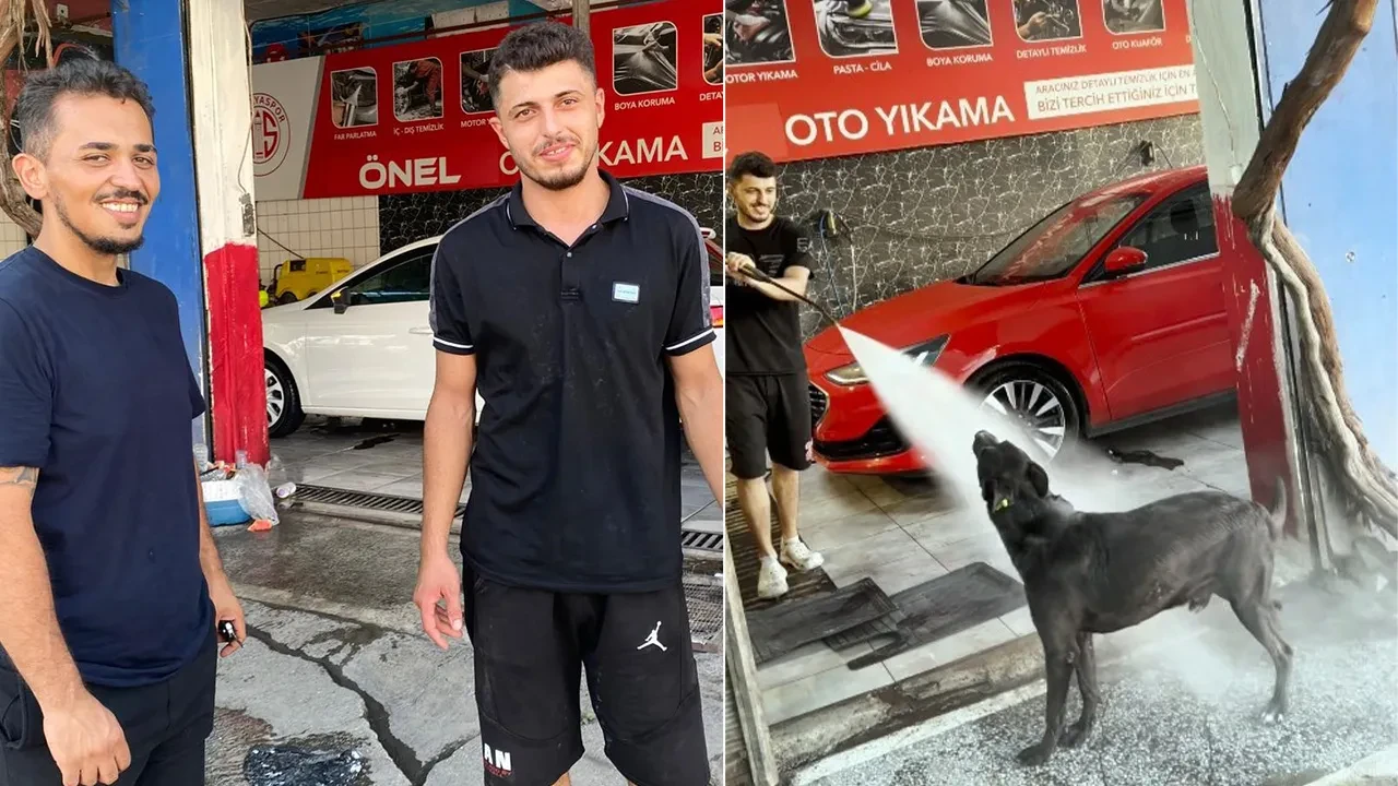 Sıcaktan bunalan köpeğin serinleme taktiği şaşırttı! İzleyenleri gülümsetti